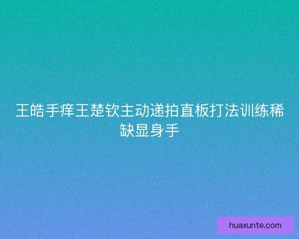 王皓手痒王楚钦主动递拍直板打法训练稀缺显身手